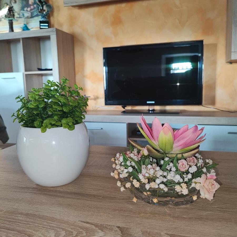 Casa Zanier Aviano Apartment San Martino di Campagna Luaran gambar